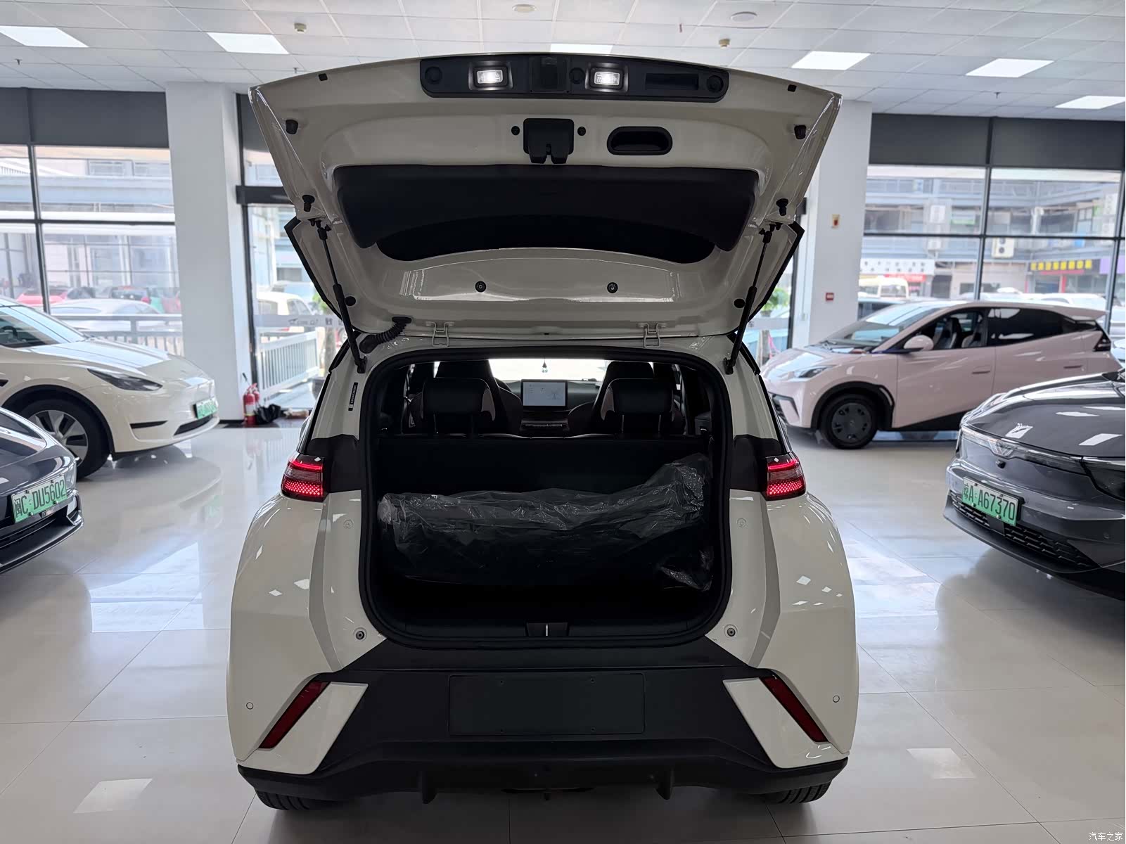 BYD Seagull, 2023 10
