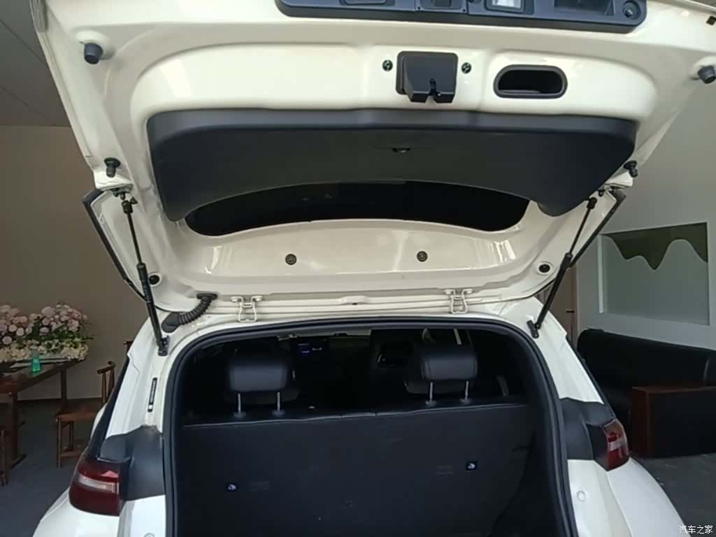 BYD Seagull, 2024 19