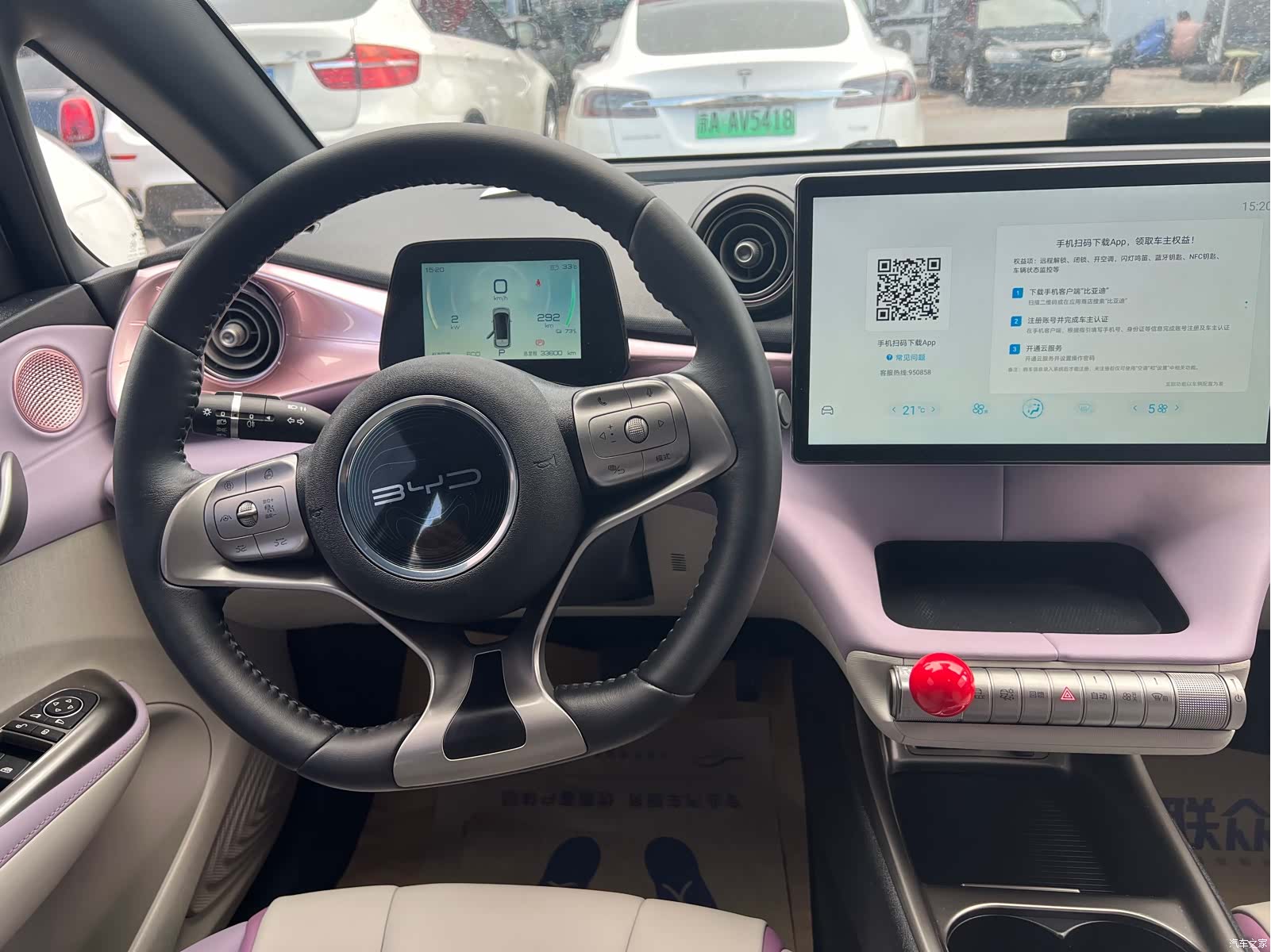 BYD Dolphin, 2022 12