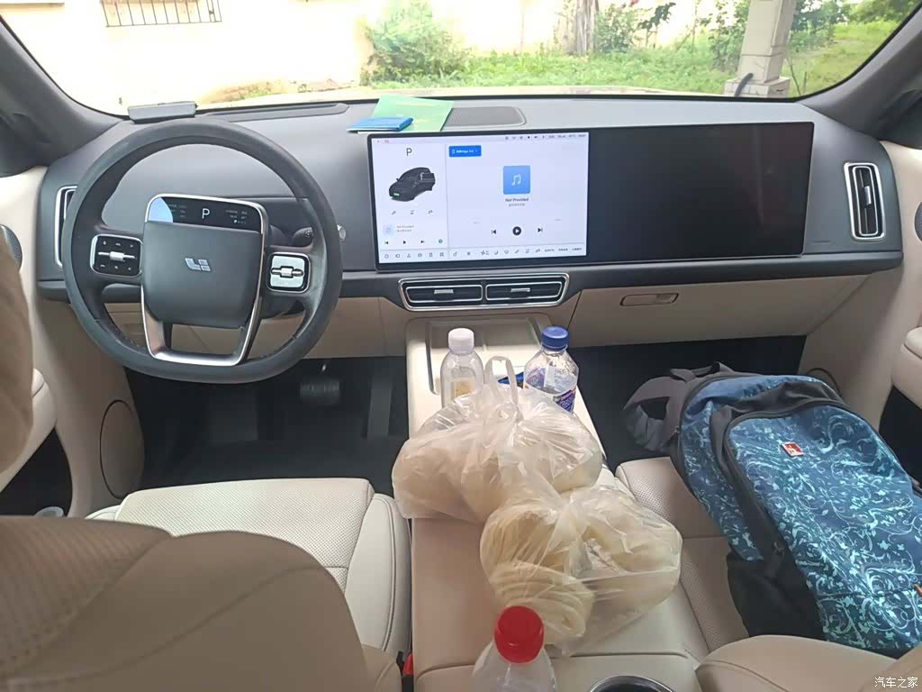 Li Auto L9, 2023 6