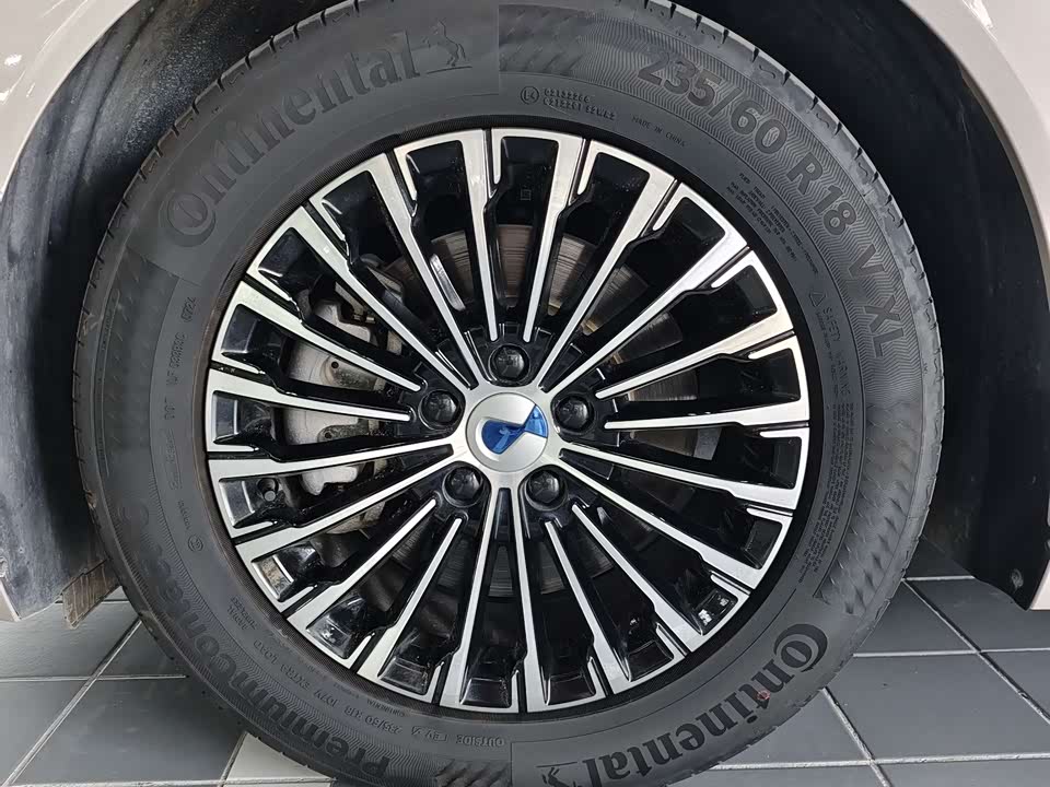 Denza D9 Denza D9
