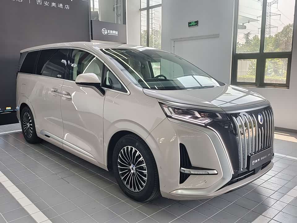 Denza D9 Denza D9