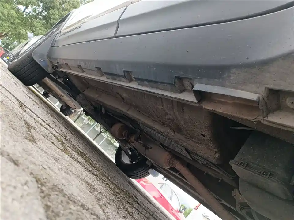 Leopaard Cheetah CS9