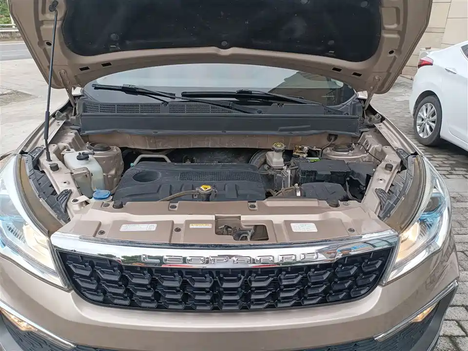 Leopaard Cheetah CS9