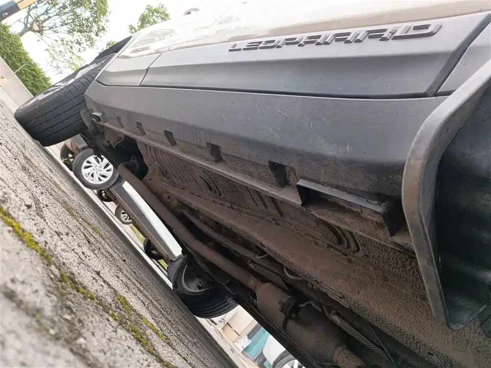 Leopaard Cheetah CS9