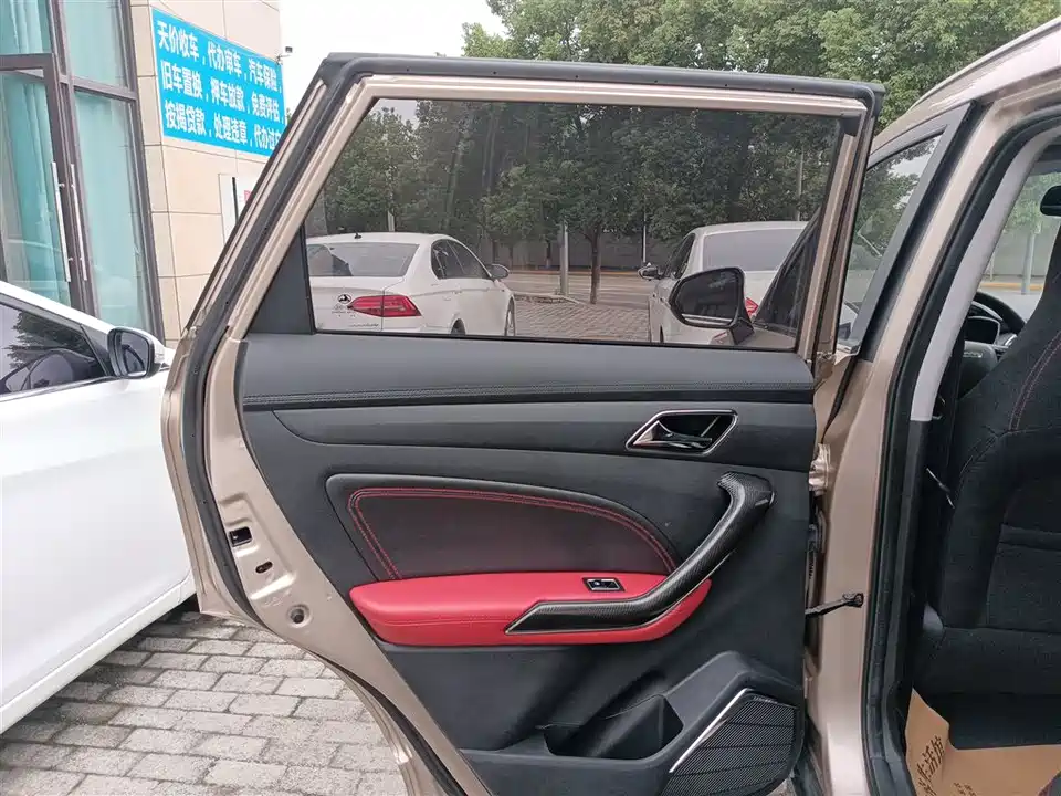 Leopaard Cheetah CS9