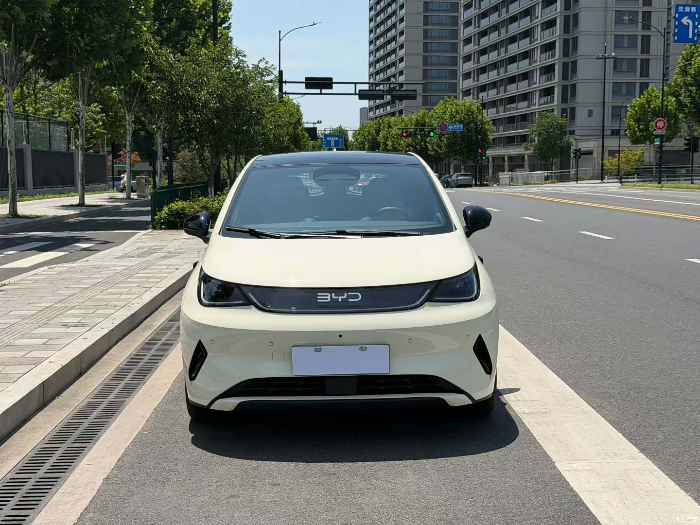BYD Dolphin, 2025 2