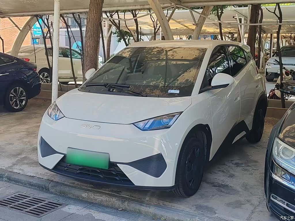 BYD Seagull, 2026 1