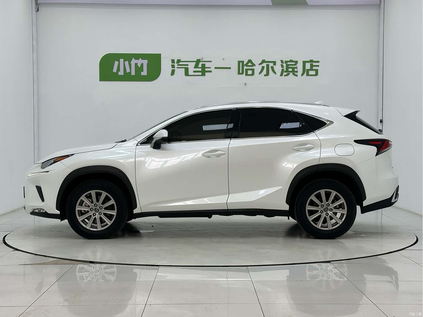 Lexus NX, 2021 все фото