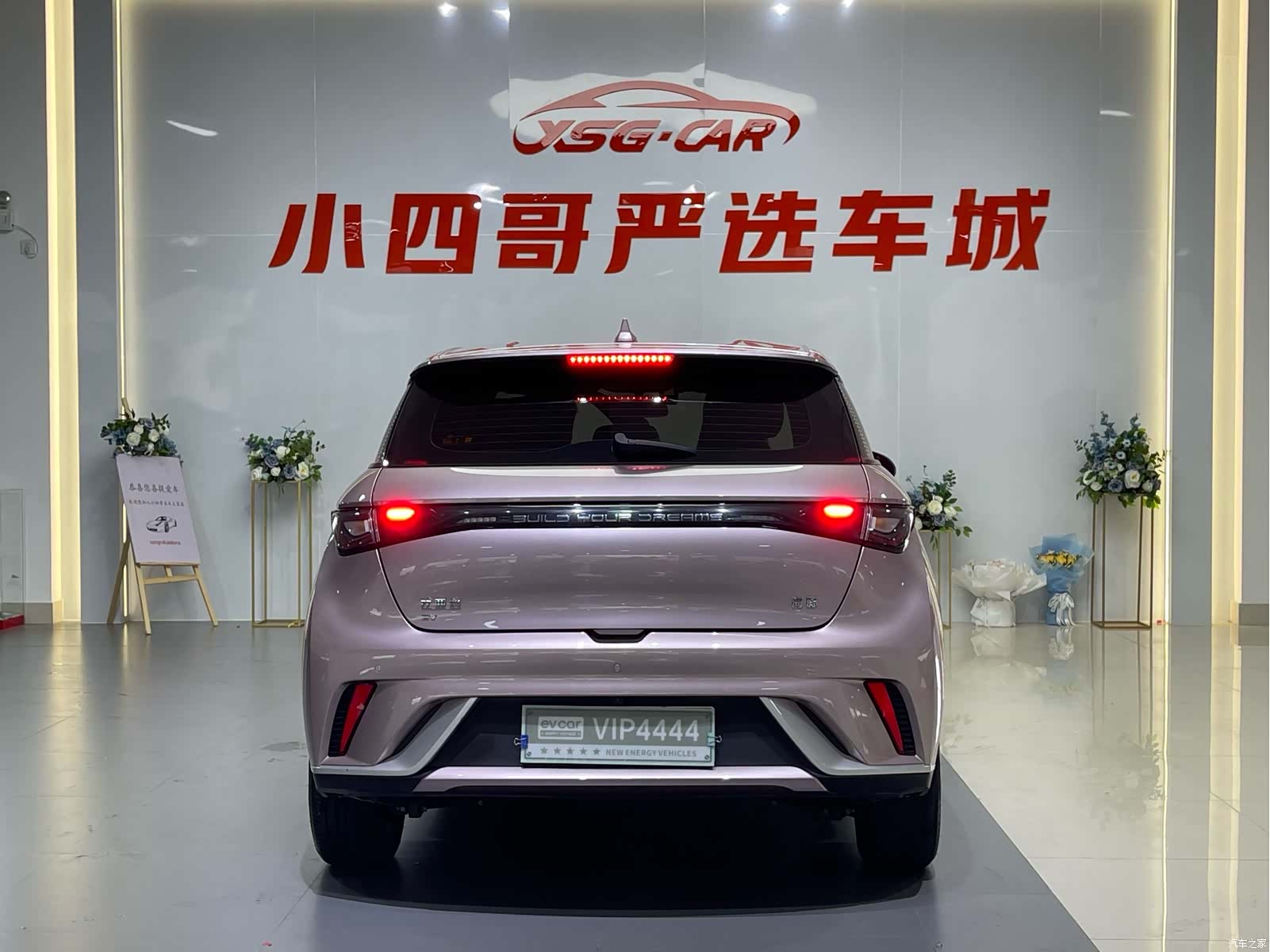 BYD Dolphin, 2024 все фото