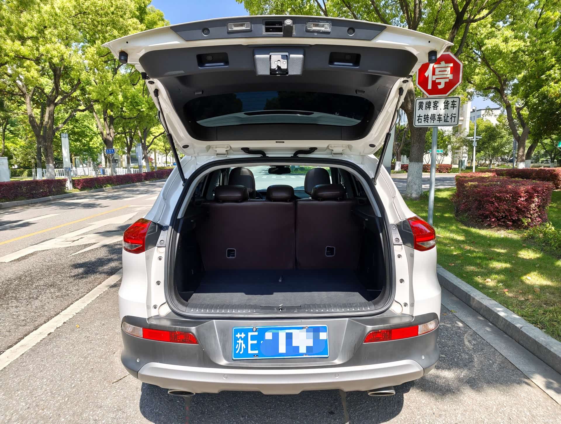 Liebao CS10, 2017 20