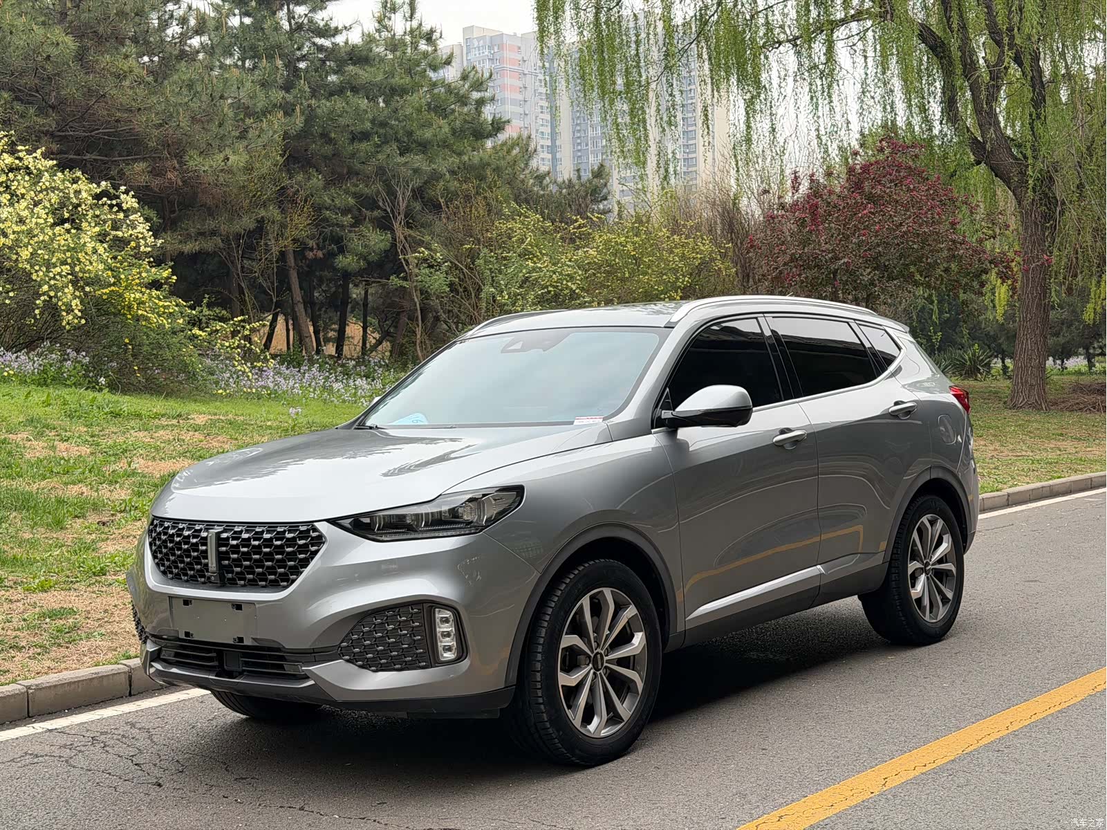 WEY VV6, 2020 1