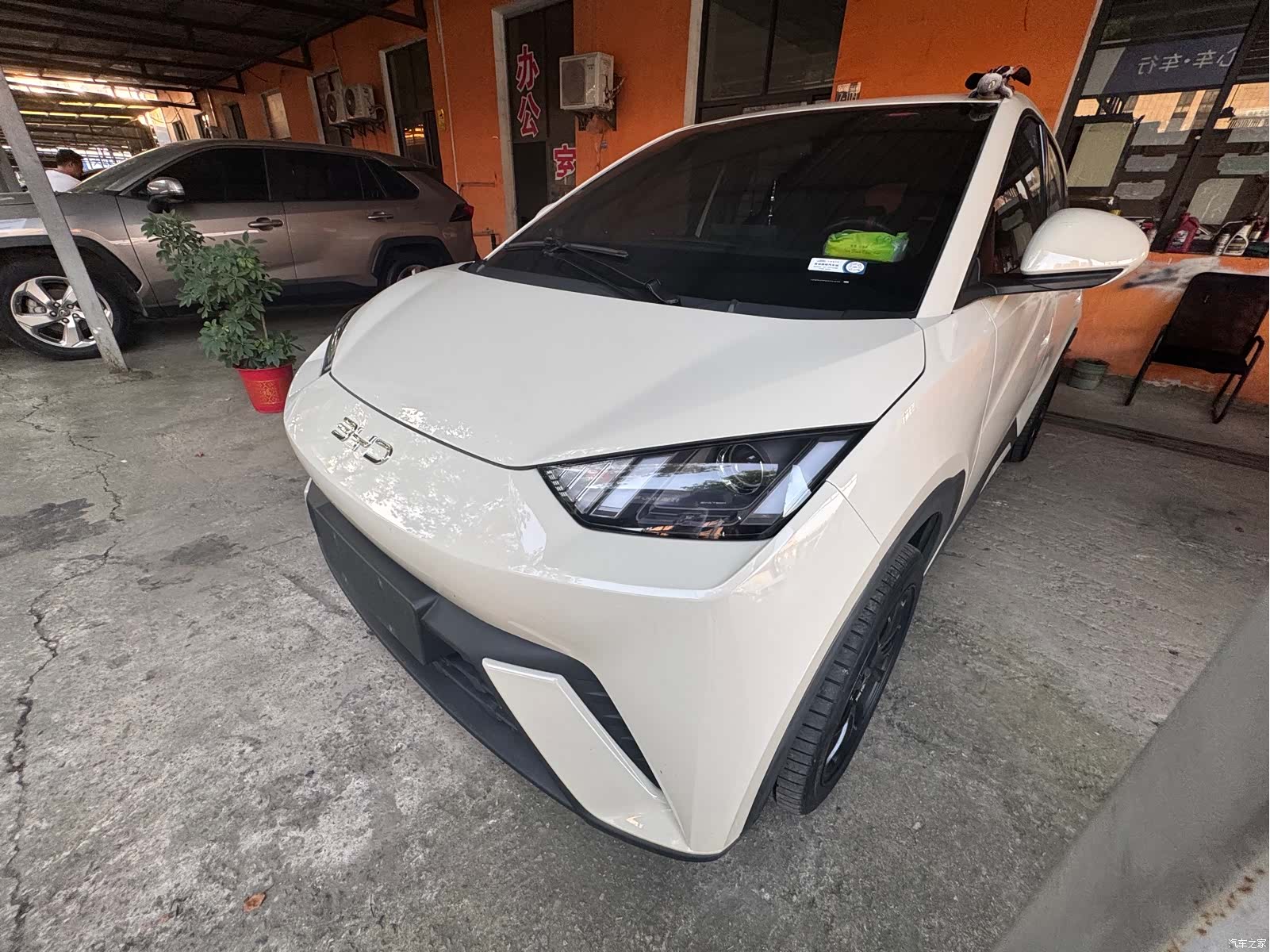 BYD Seagull, 2025 1