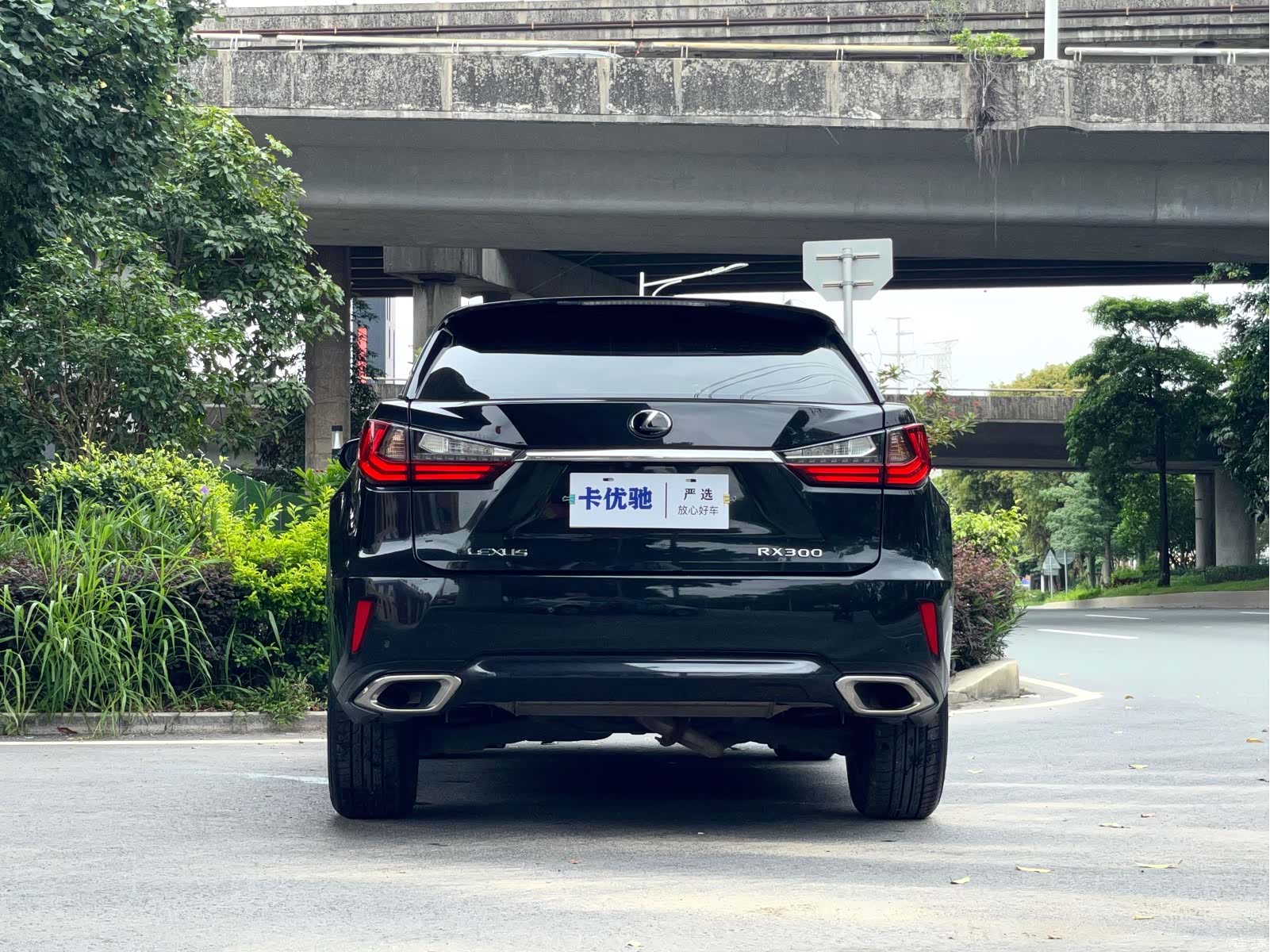 Lexus RX, 2019 все фото