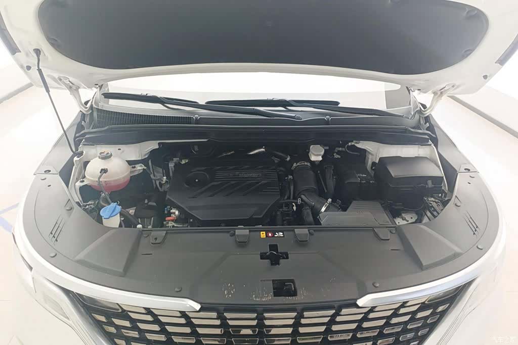 Kia Carnival, 2022 10