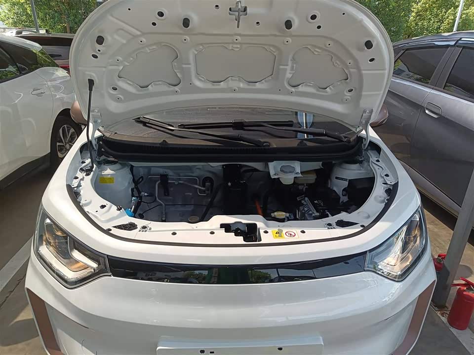 JAC Yttrium is a flower fairy