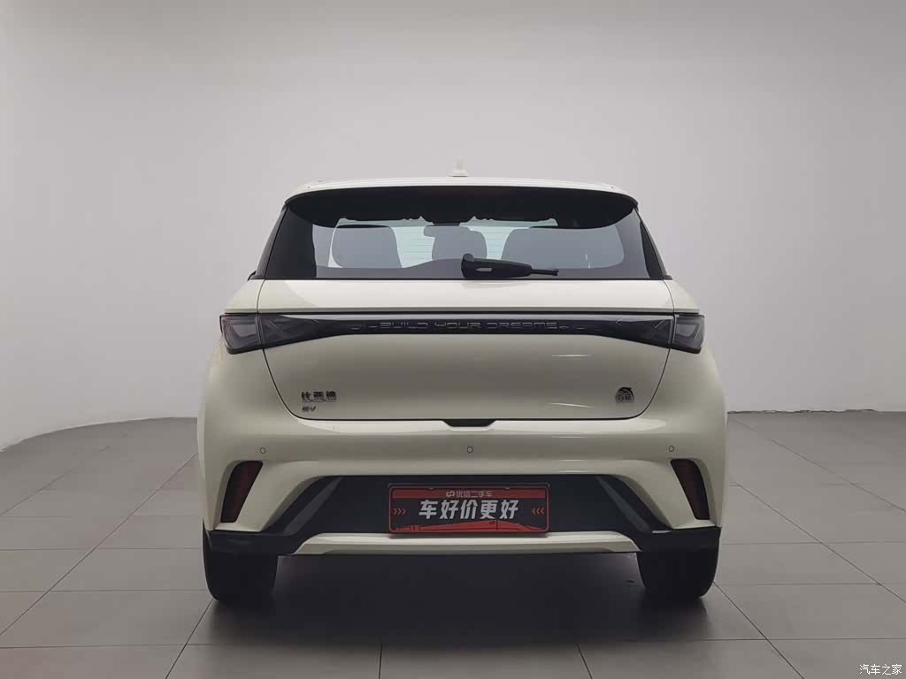 BYD Dolphin, 2024 4