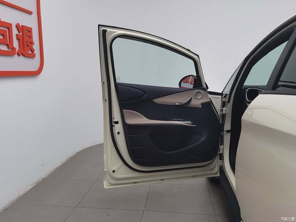 BYD Dolphin, 2024 8