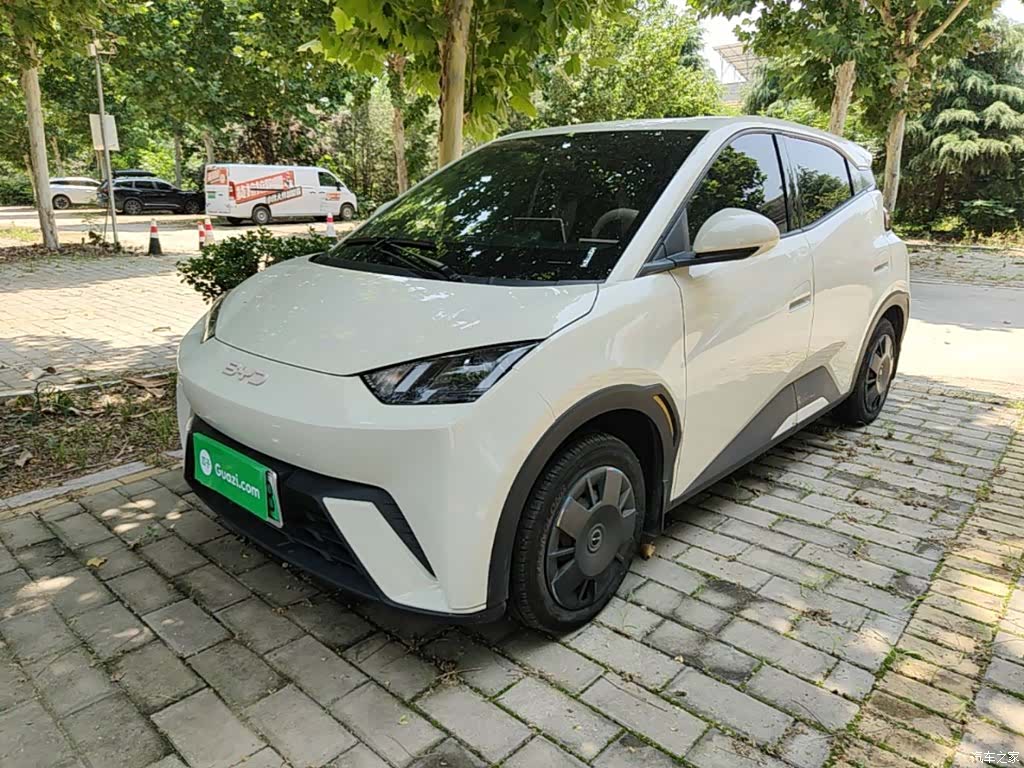 BYD Seagull, 2024 1