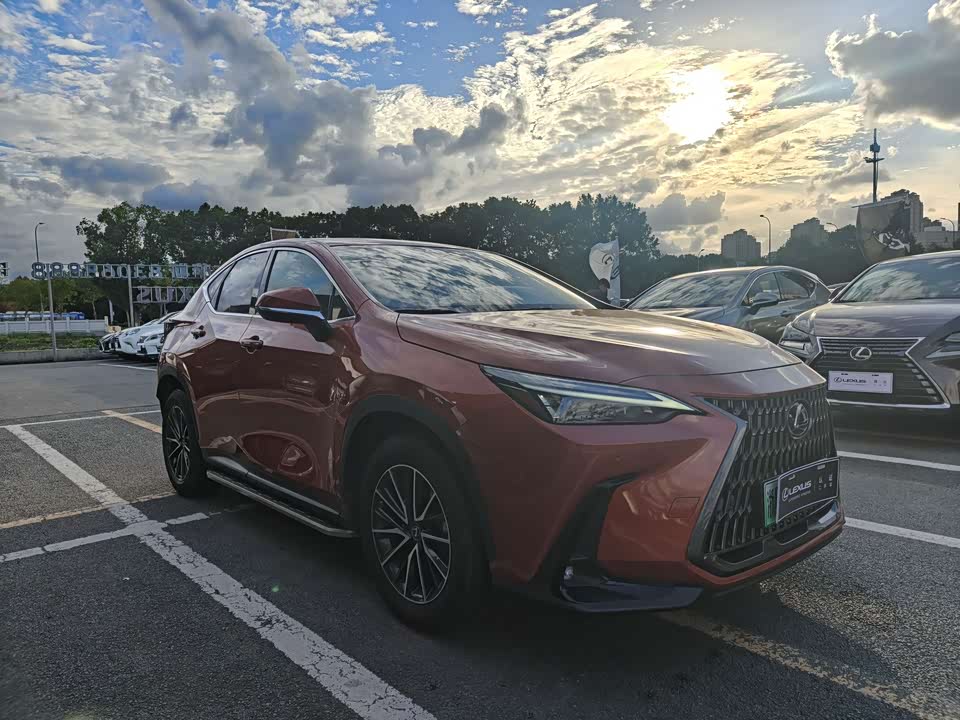 Lexus NX