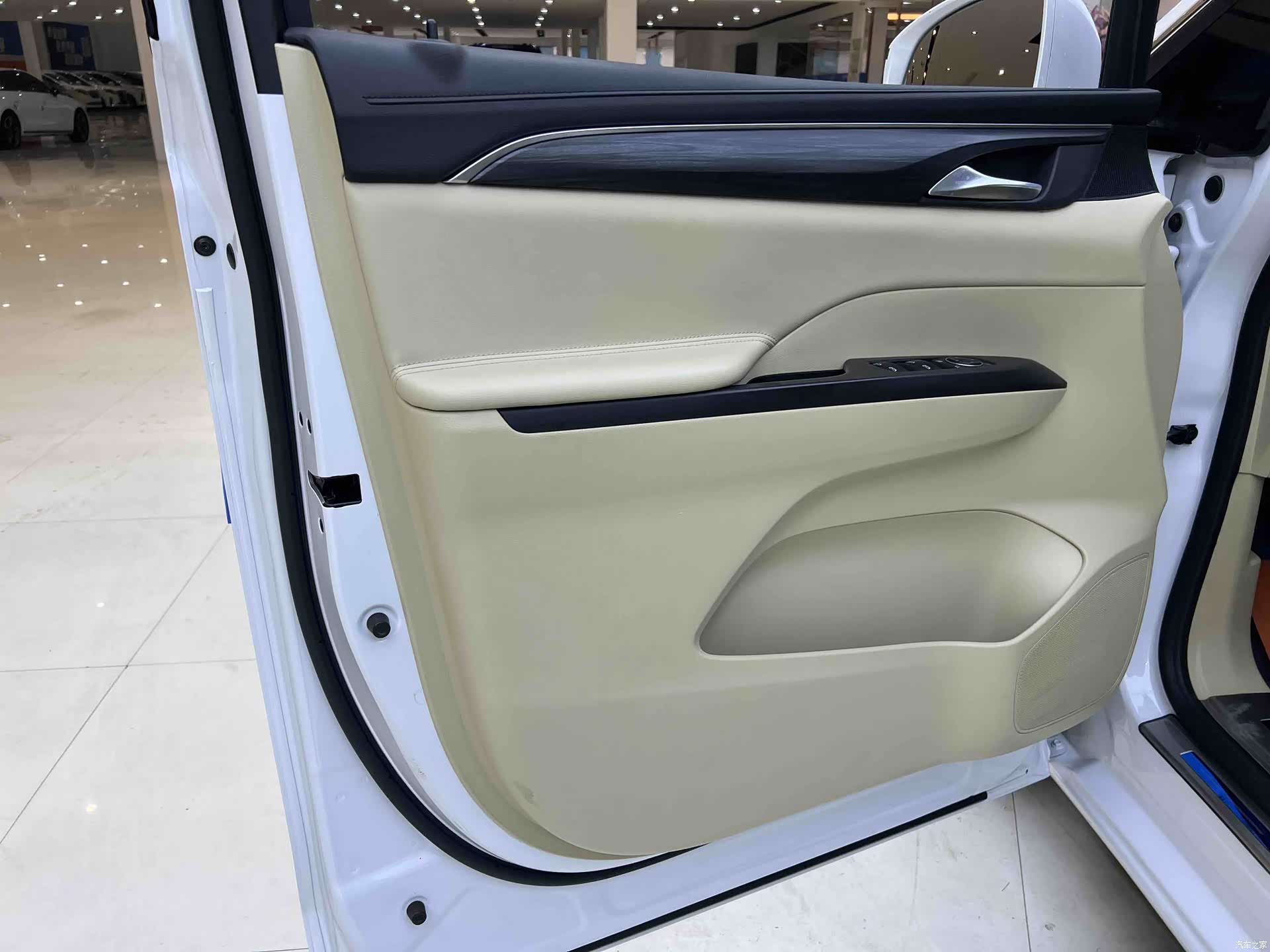 Buick GL8, 2023 9