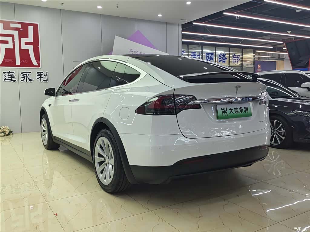 Tesla Model X, 2020 4