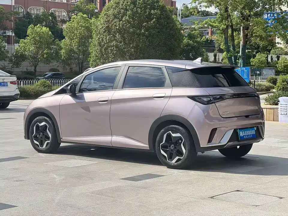 BYD dolphin