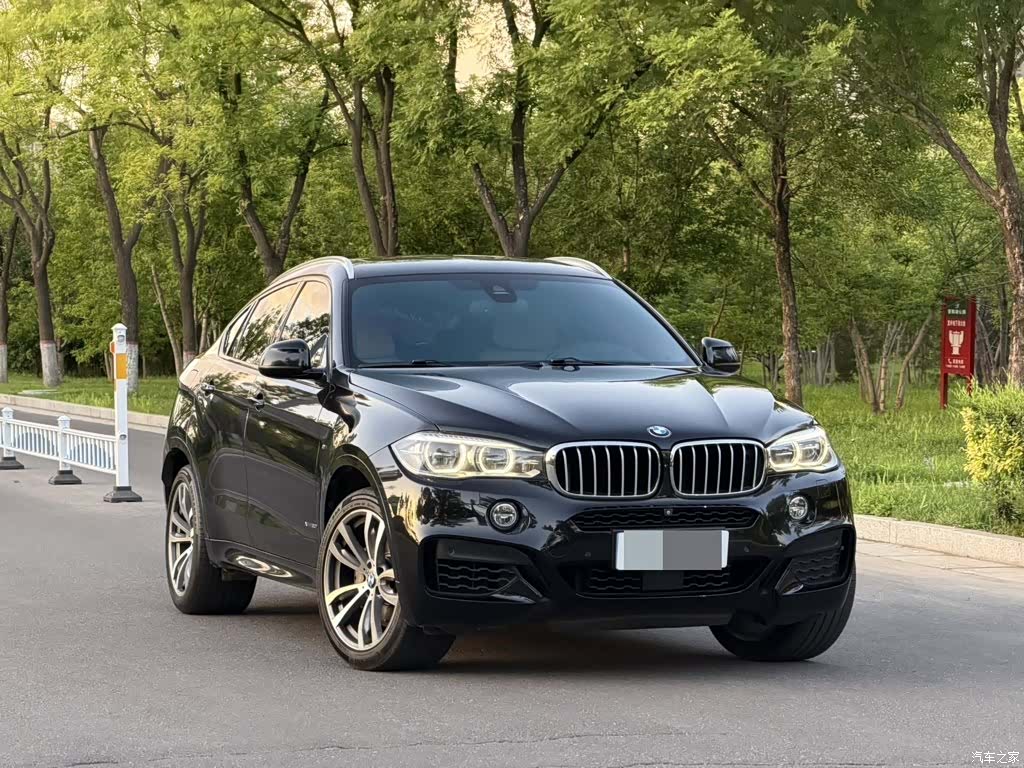 BMW X6, 2017 3