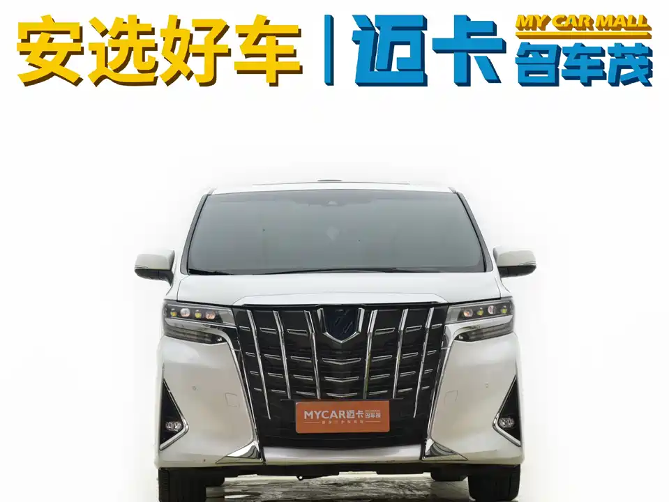 Toyota Elfa