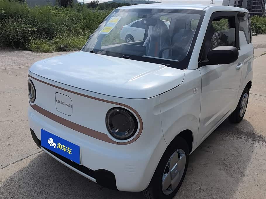 Geely Galaxy panda