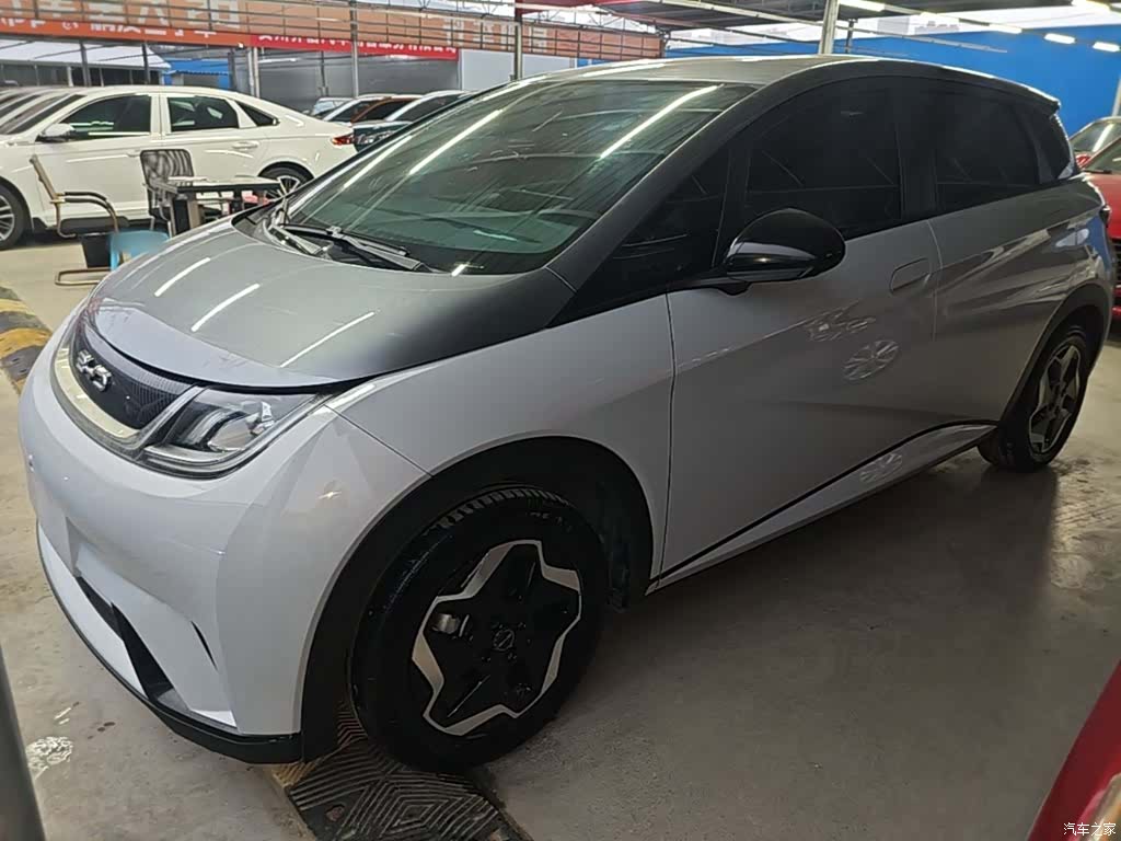 BYD Dolphin, 2022 1