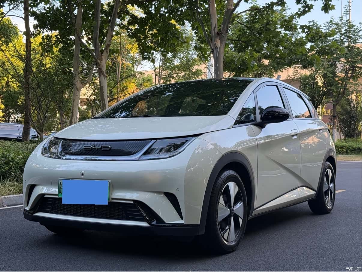 BYD Dolphin, 2023 1