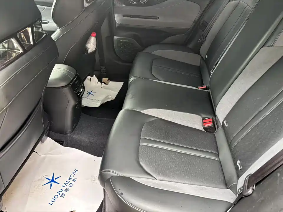 Trumpchi Shadow Leopard