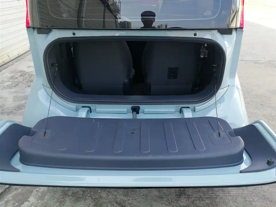 Wuling Wuling NanoEV