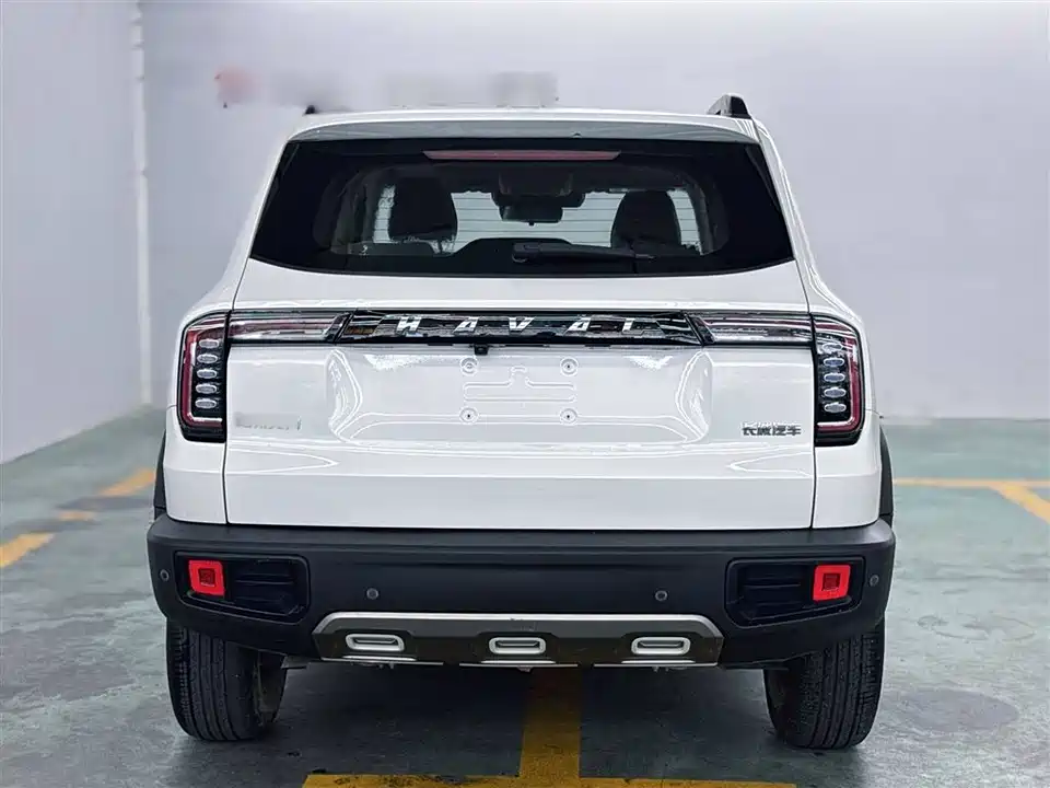 Haval Big dog