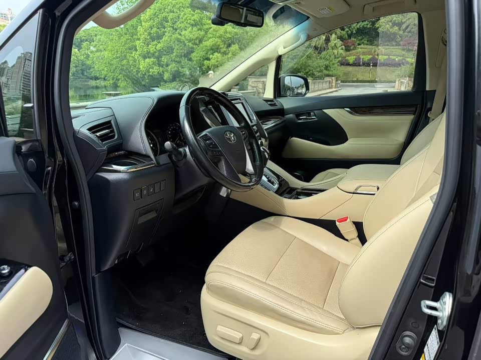 Toyota Elfa