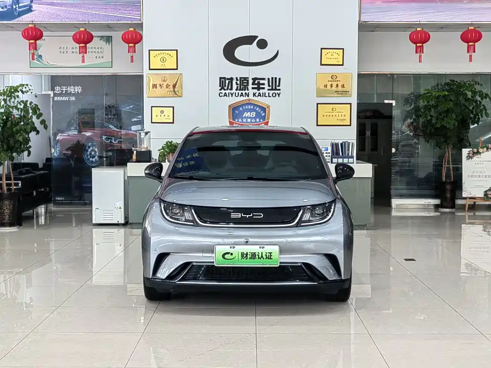 BYD dolphin