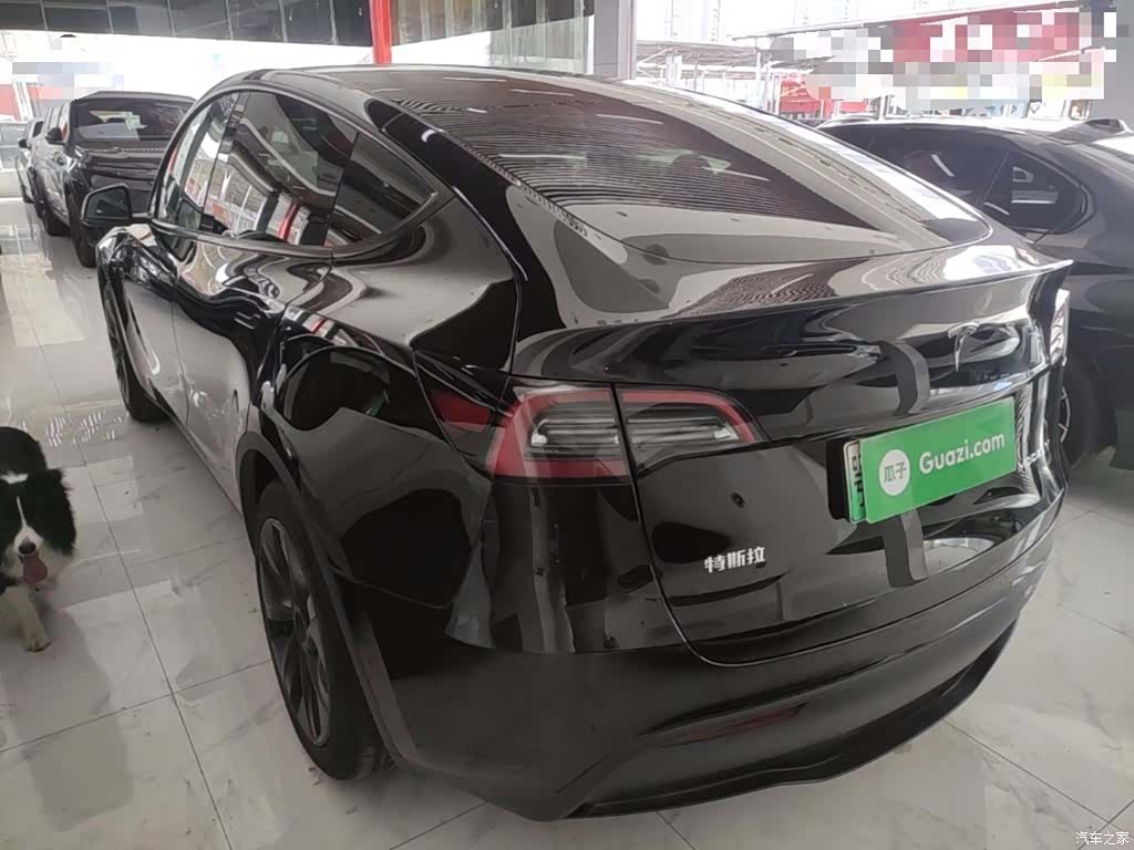 Tesla Model Y, 2024 23