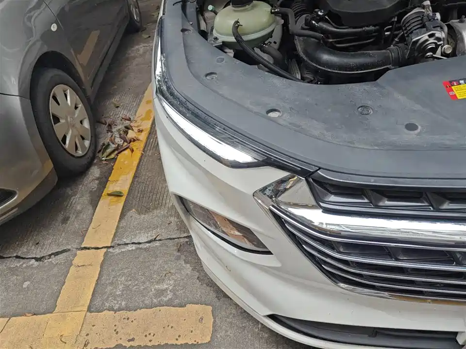 Wuling Wuling Capgemini