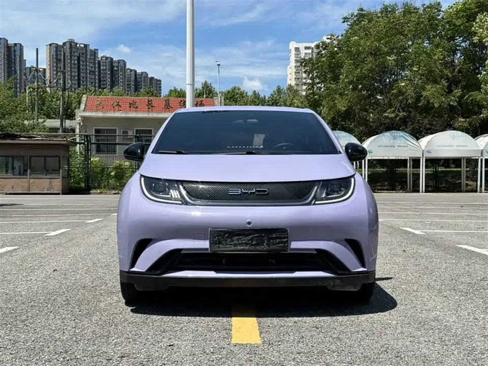 BYD dolphin