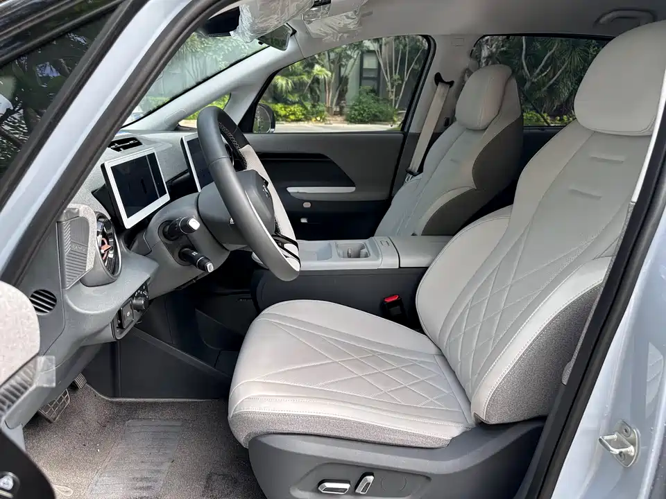 ARCFOX Polar fox koala