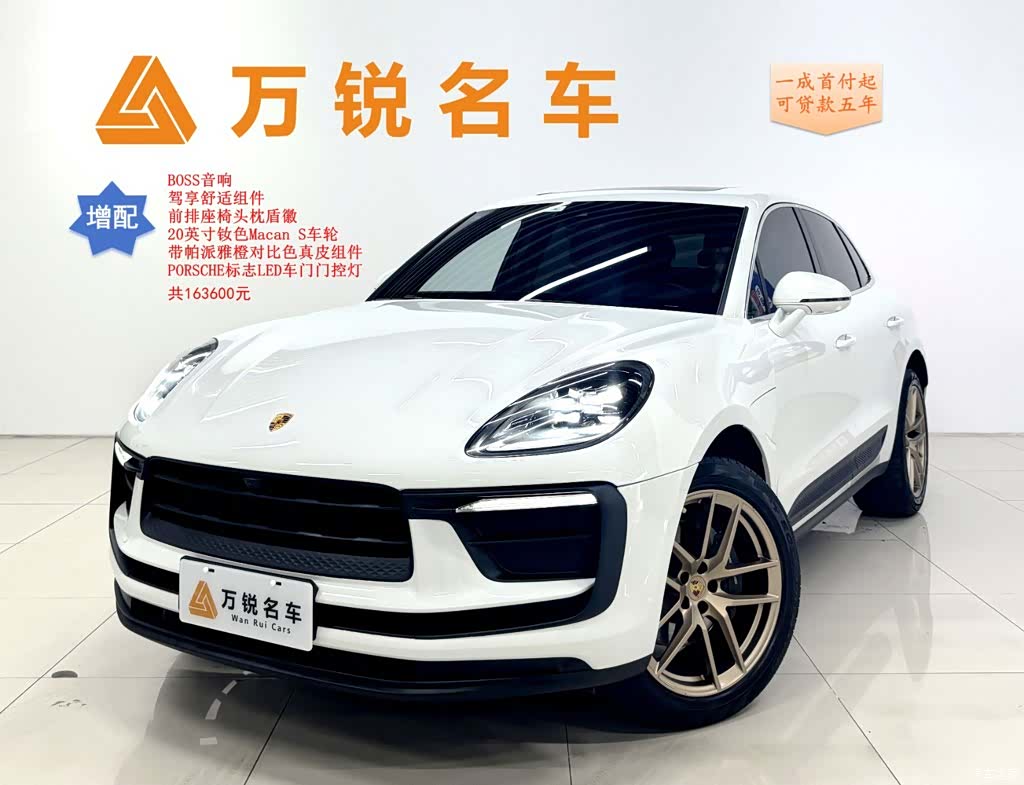 Macan Macan, 2023 1