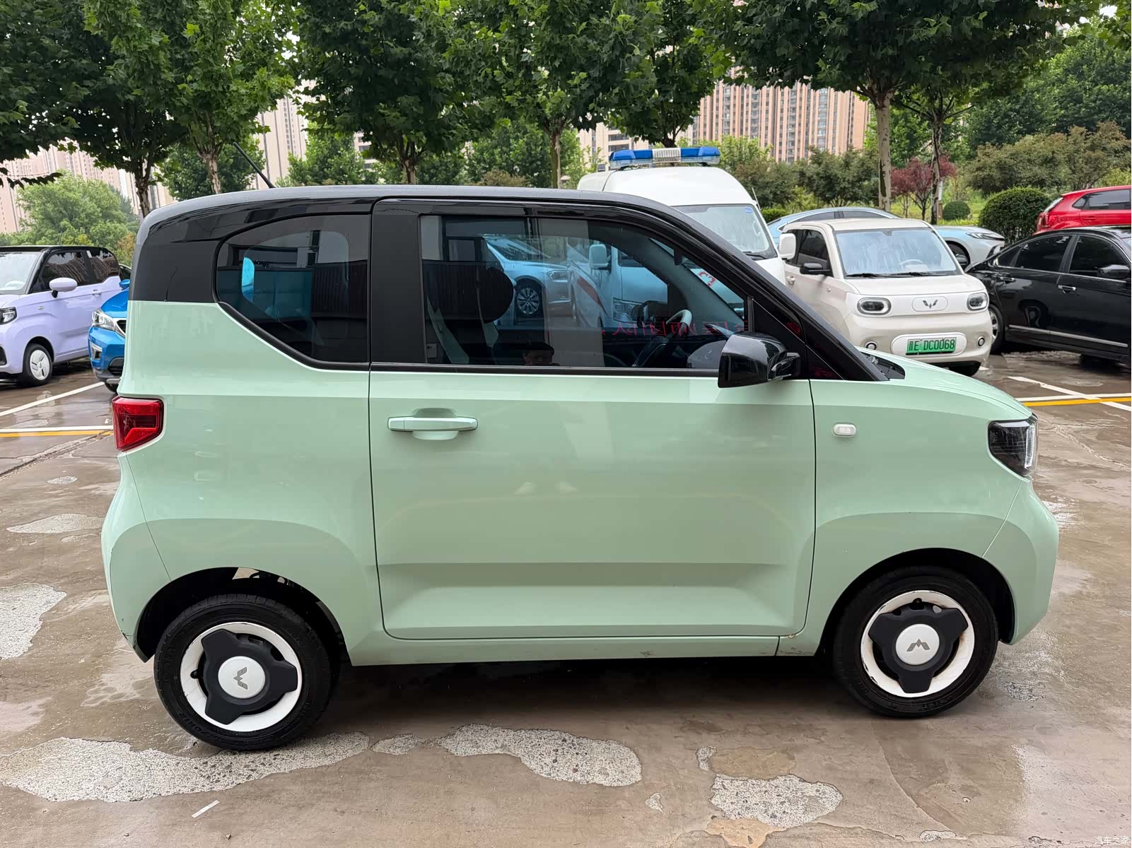 Wuling Yuan, 2022 6