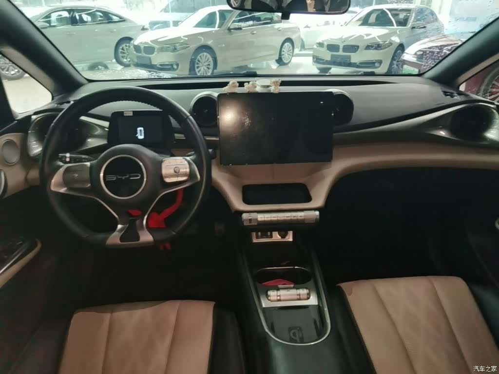 BYD Dolphin, 2023 10