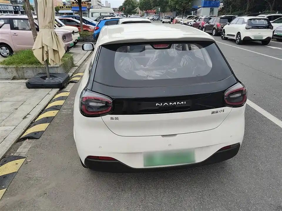 Dongfeng Nammi Nano 01