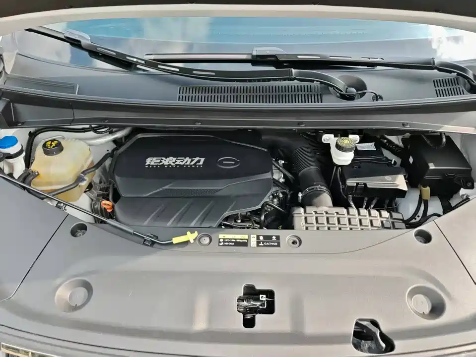 Trumpchi Trumpchi M8