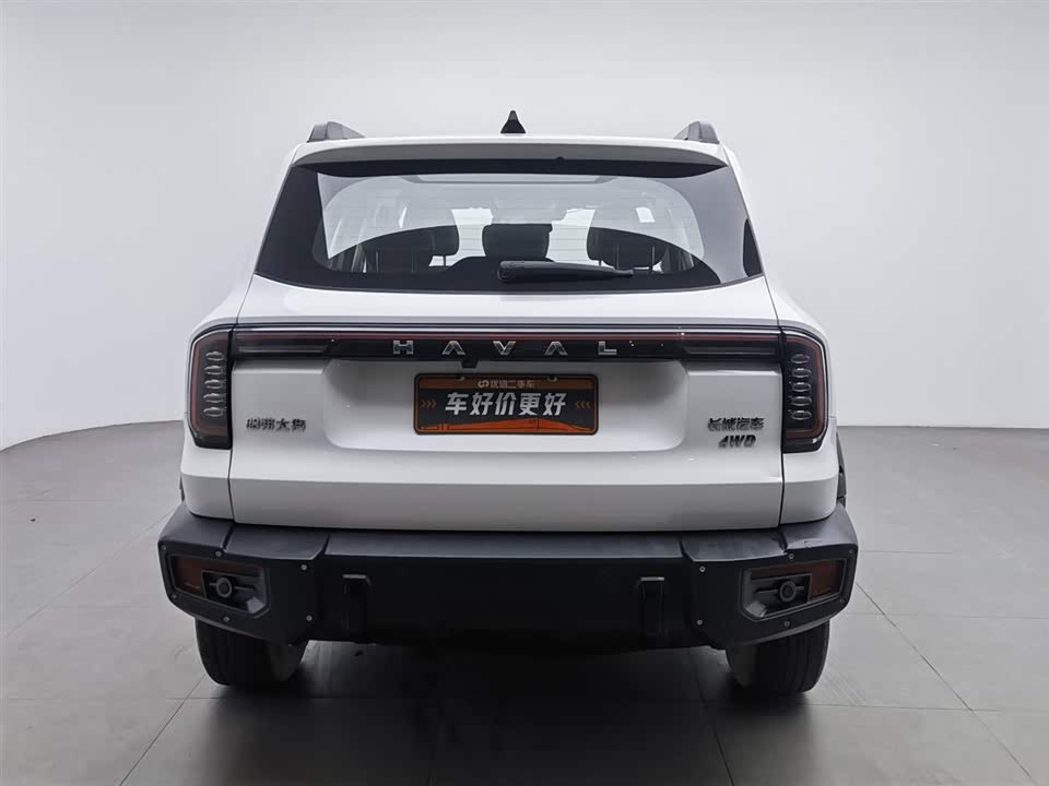 Haval Big dog
