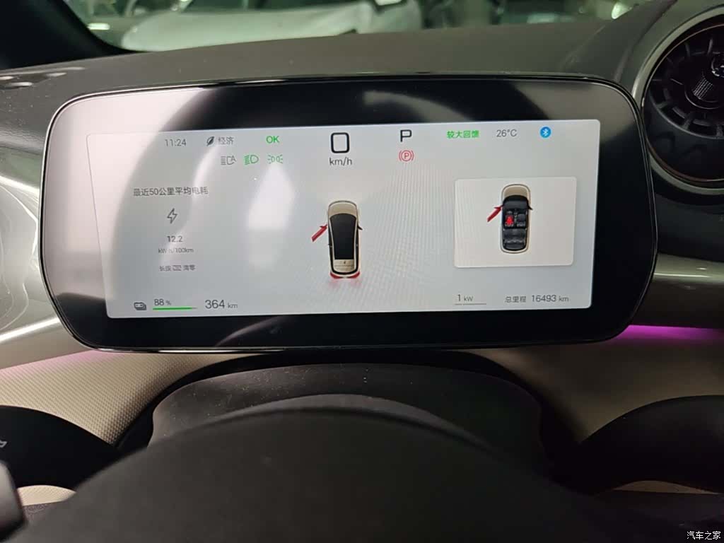 BYD Dolphin, 2025 12