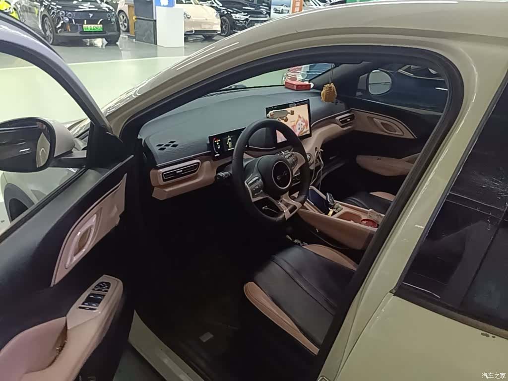 BYD Seagull, 2024 16