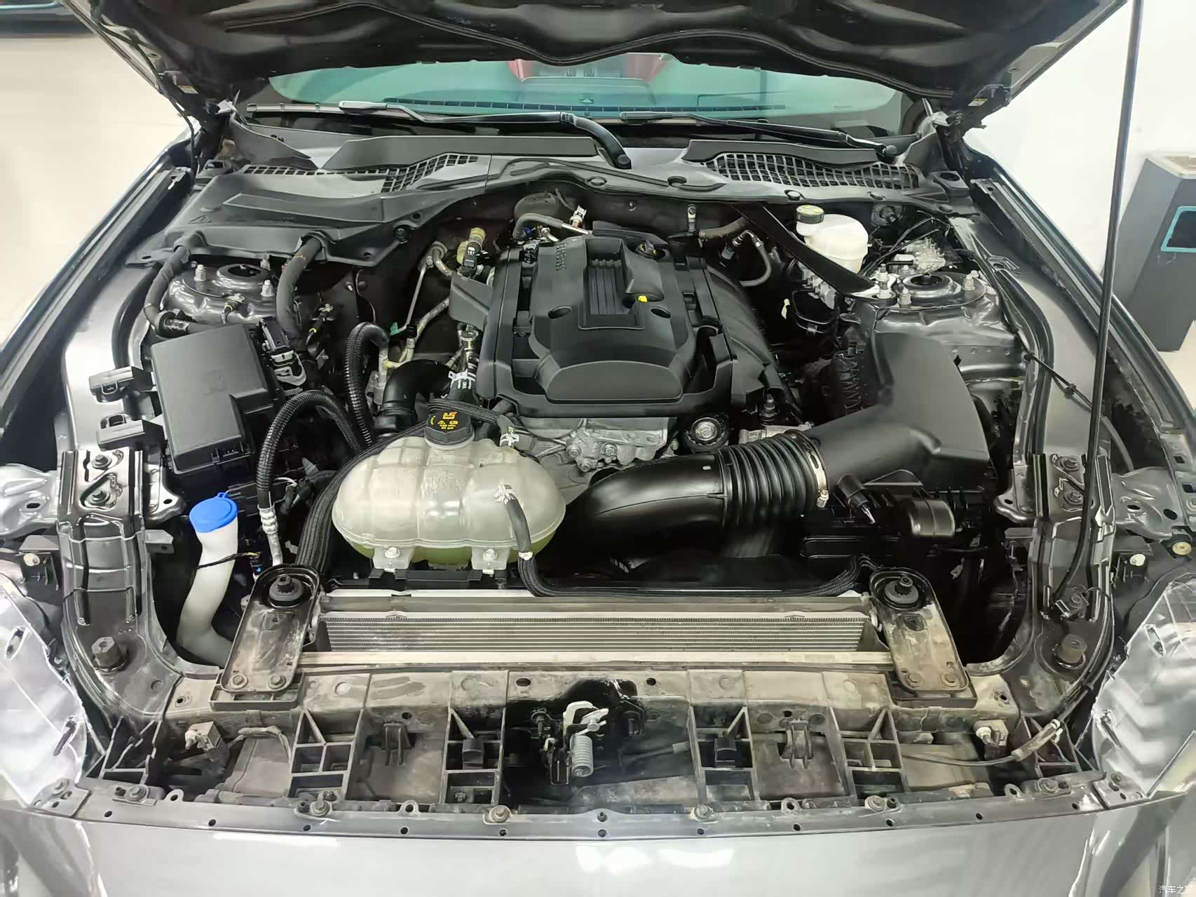 Ford Wraith, 2022 6